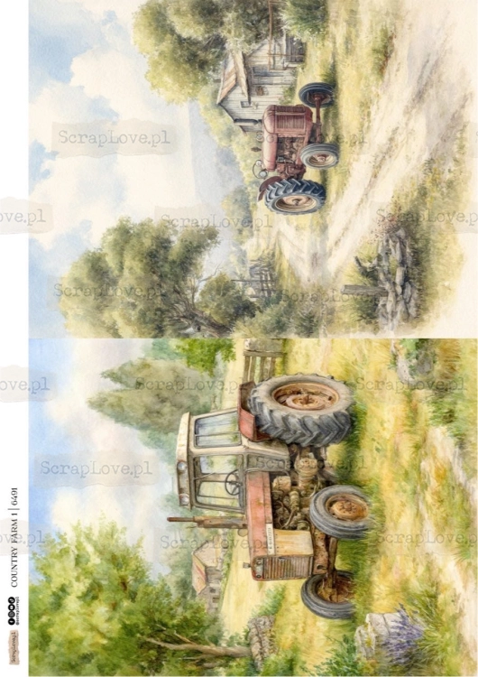 country farm 1.jpg