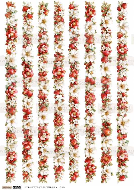 strawberry flowers 1 | 6518 2-4.jpg