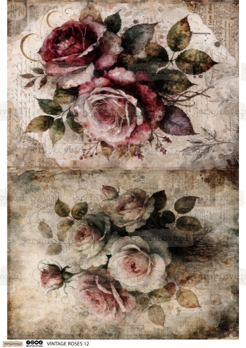 vintahge roses 1 2-12.jpg