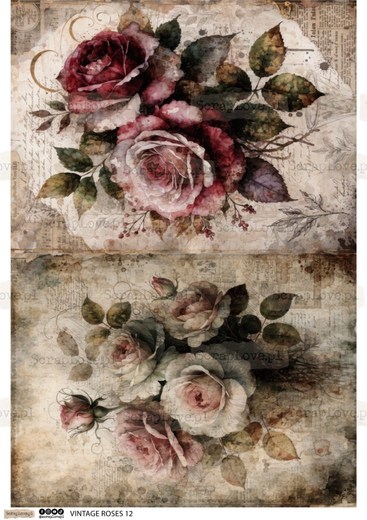 vintahge roses 1 2-12.jpg