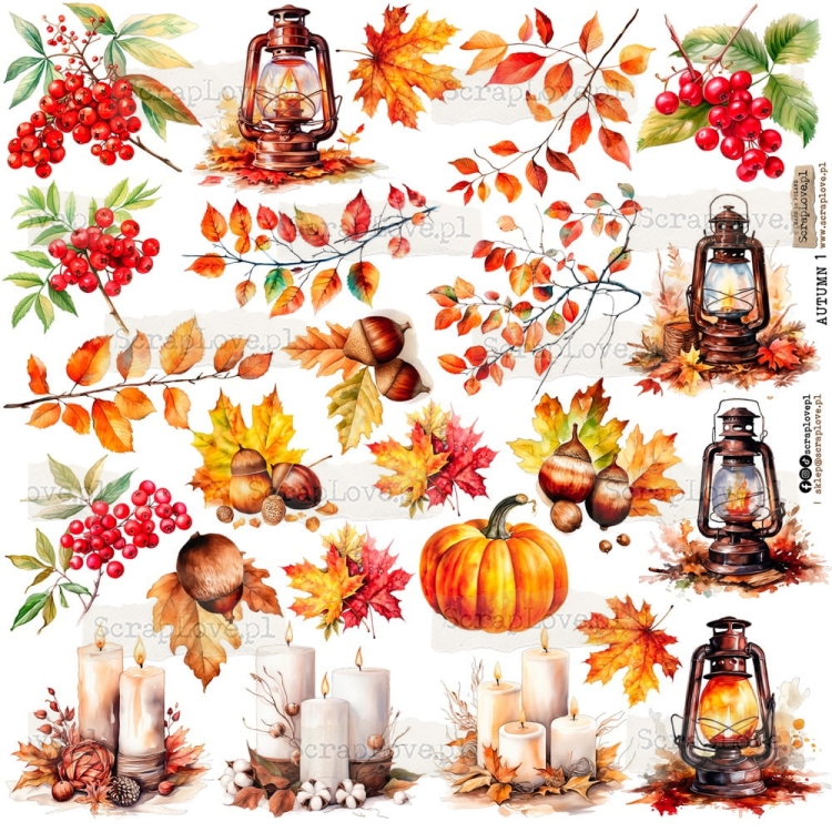 autumn 1p.jpeg