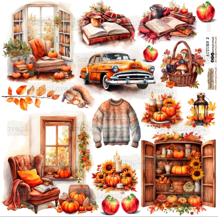 autumn 2.jpeg
