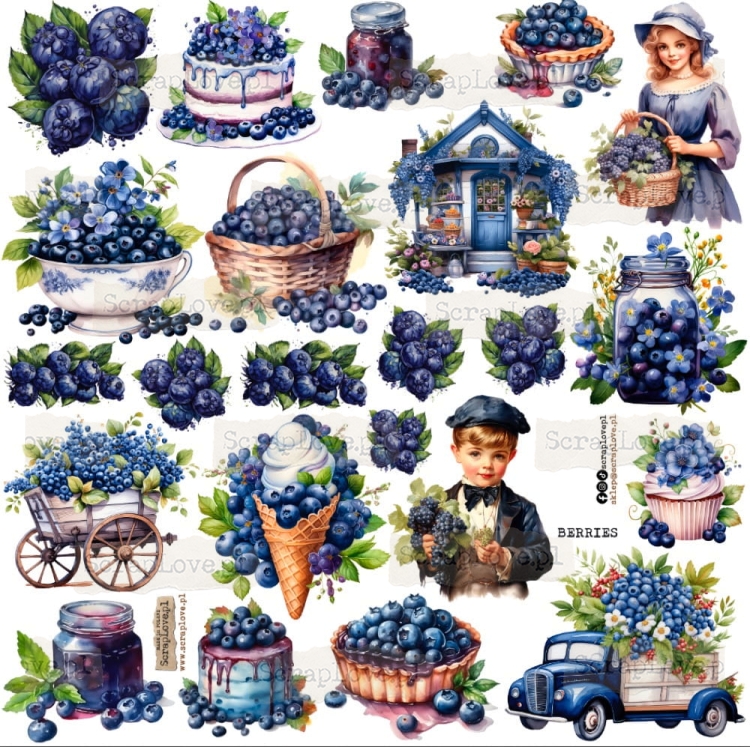 berries.jpeg