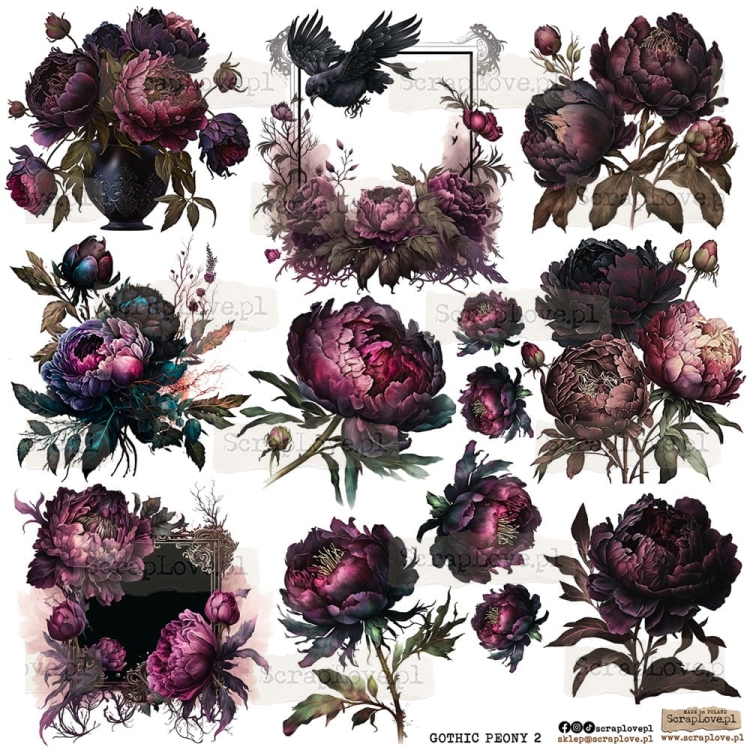 GOTHIC peony 2 p.jpeg