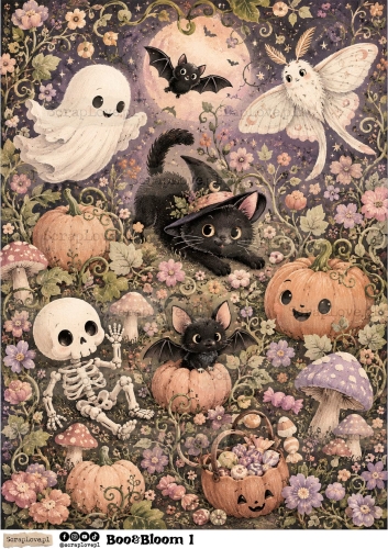Boo &amp; Bloom 1 2-1.jpg