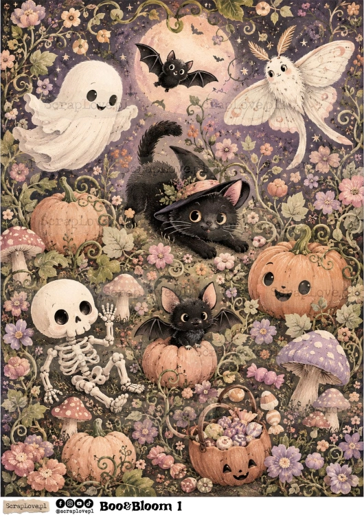 Boo &amp; Bloom 1 2-1.jpg
