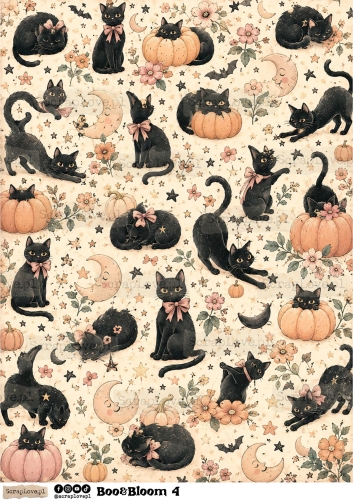 Boo &amp; Bloom 1 2-4.jpg