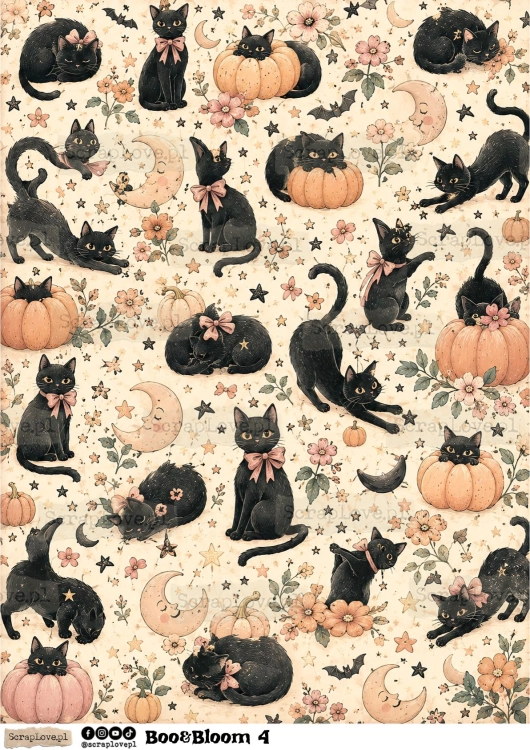Boo &amp; Bloom 1 2-4.jpg