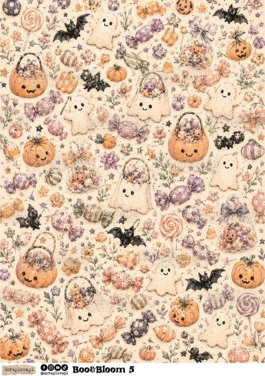 Boo &amp; Bloom 1 2-5.jpg