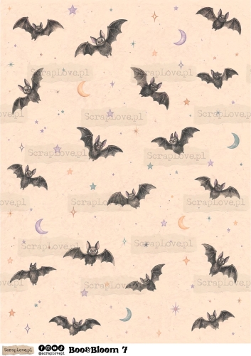 Boo &amp; Bloom 1 2-7.jpg