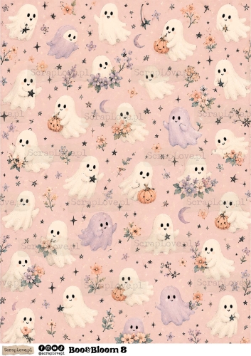 Boo &amp; Bloom 1 2-8.jpg