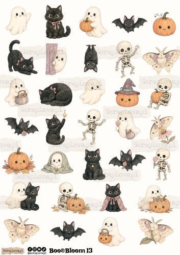 Boo &amp; Bloom 1 2-13.jpg