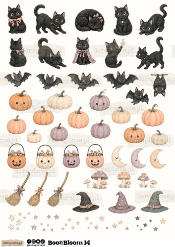 Boo &amp; Bloom 1 2-14.jpg
