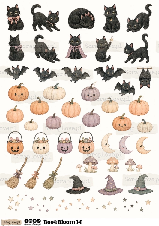 Boo &amp; Bloom 1 2-14.jpg