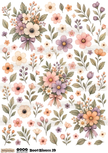 Boo &amp; Bloom 1 2-18.jpg