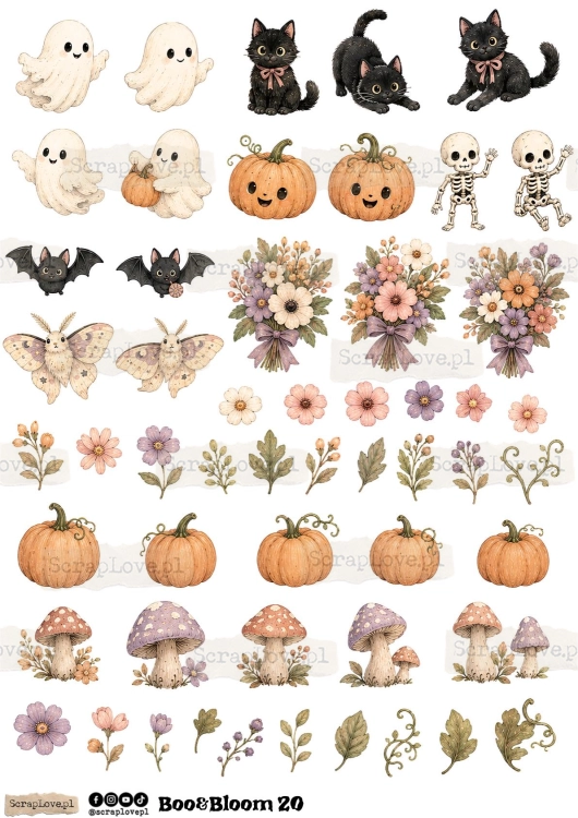Boo &amp; Bloom 1 2-19.jpg
