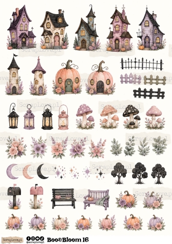 Boo &amp; Bloom 1 2-20.jpg