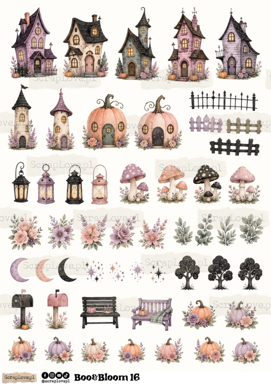 Boo &amp; Bloom 1 2-20.jpg
