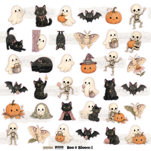 boo&amp;bloom 1n 2-1.jpg