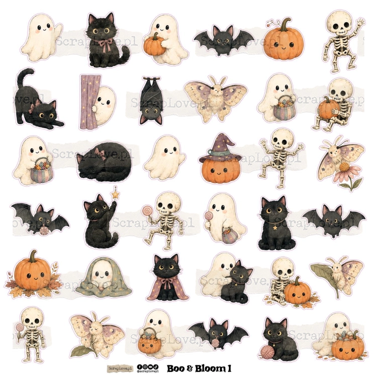 boo&amp;bloom 1n 2-1.jpg