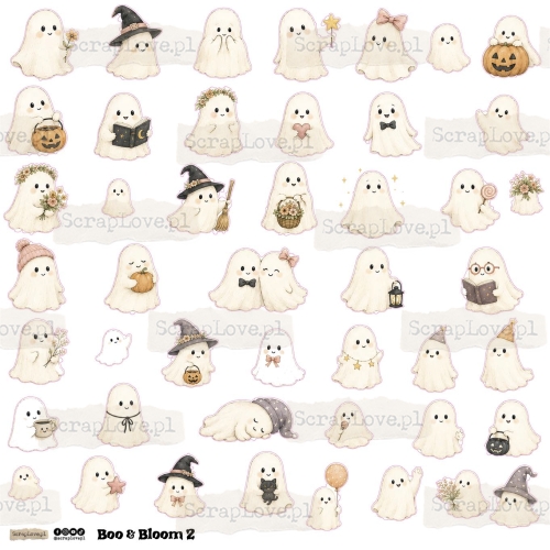 boo&amp;bloom 1n 2-2.jpg