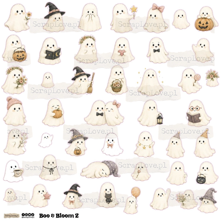 boo&amp;bloom 1n 2-2.jpg