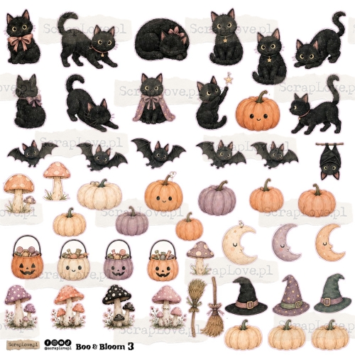 boo&amp;bloom 1n 2-3.jpg