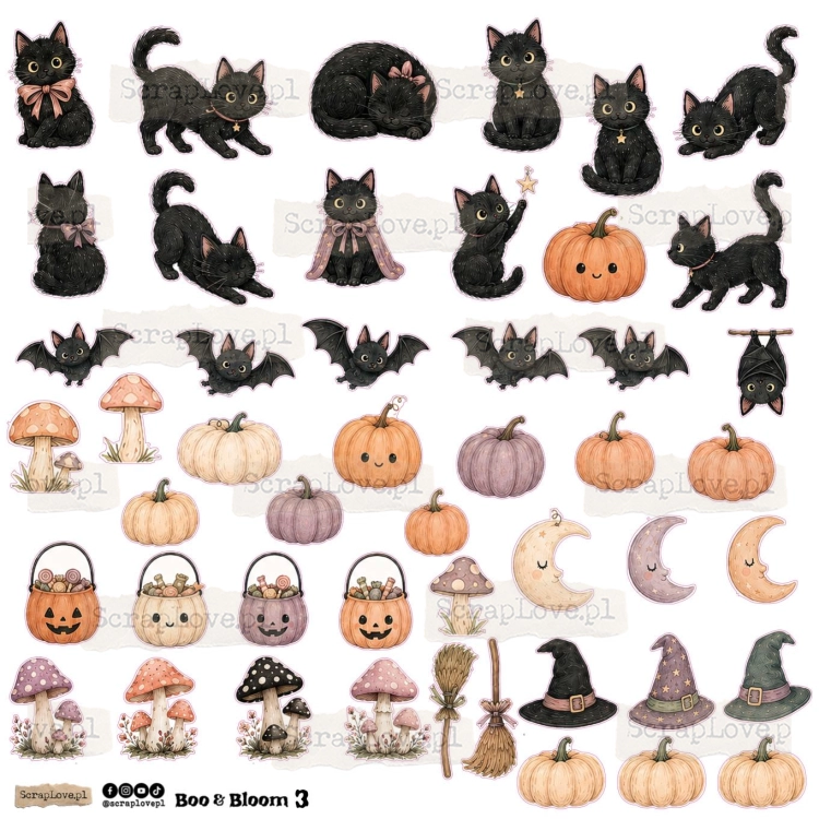 boo&amp;bloom 1n 2-3.jpg