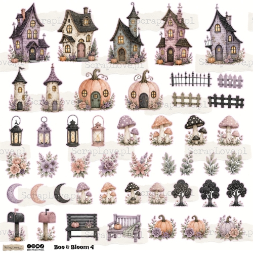 boo&amp;bloom 1n 2-4.jpg