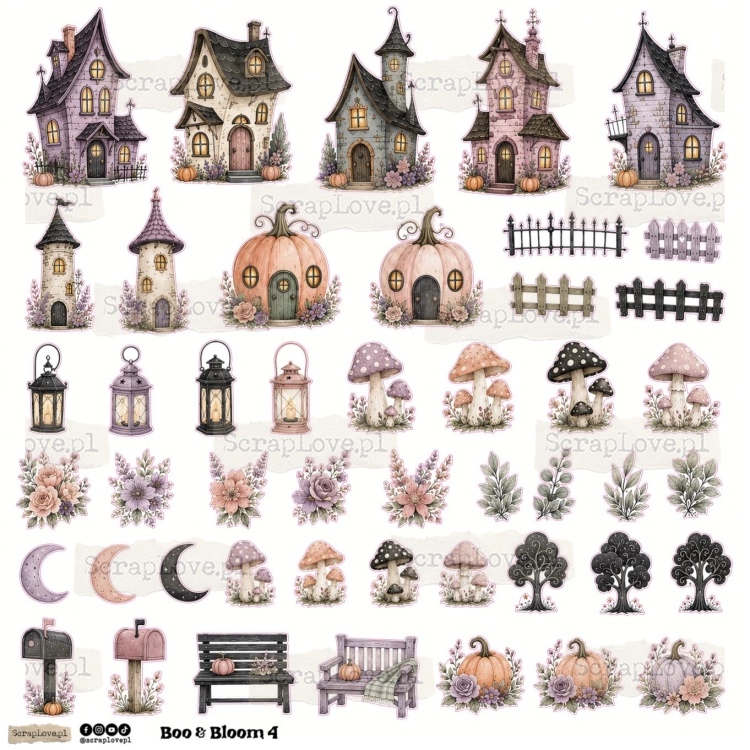boo&amp;bloom 1n 2-4.jpg