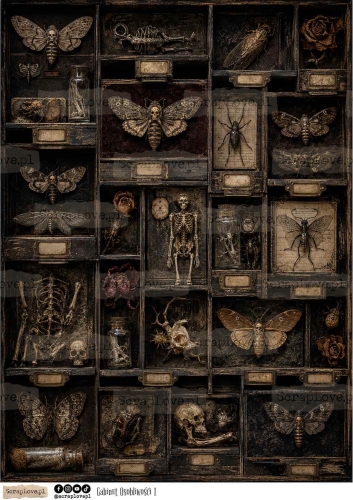 gabinet osobliwosci all-1.jpg