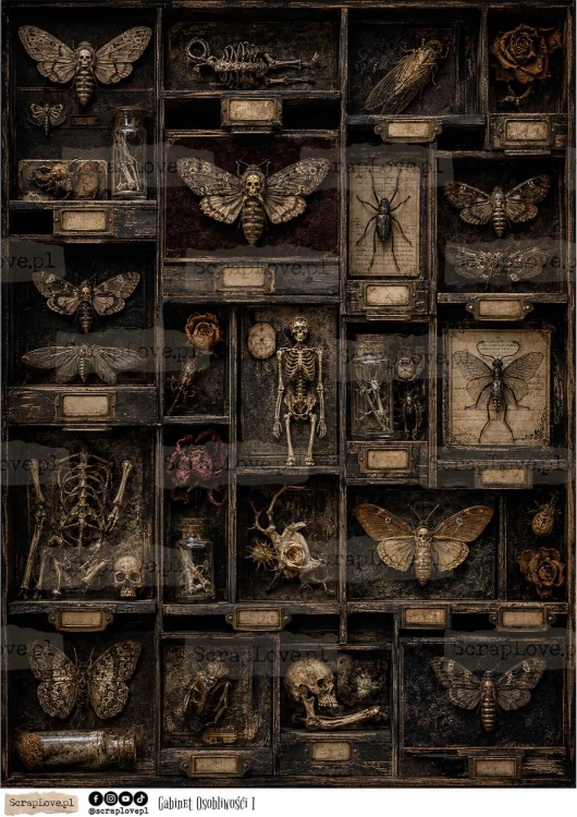 gabinet osobliwosci all-1.jpg