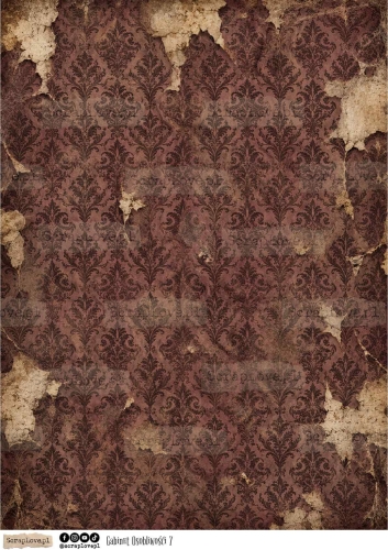 gabinet osobliwosci all-7.jpg