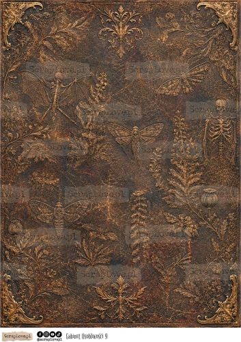 gabinet osobliwosci all-9.jpg