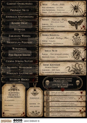gabinet osobliwosci all-16.jpg