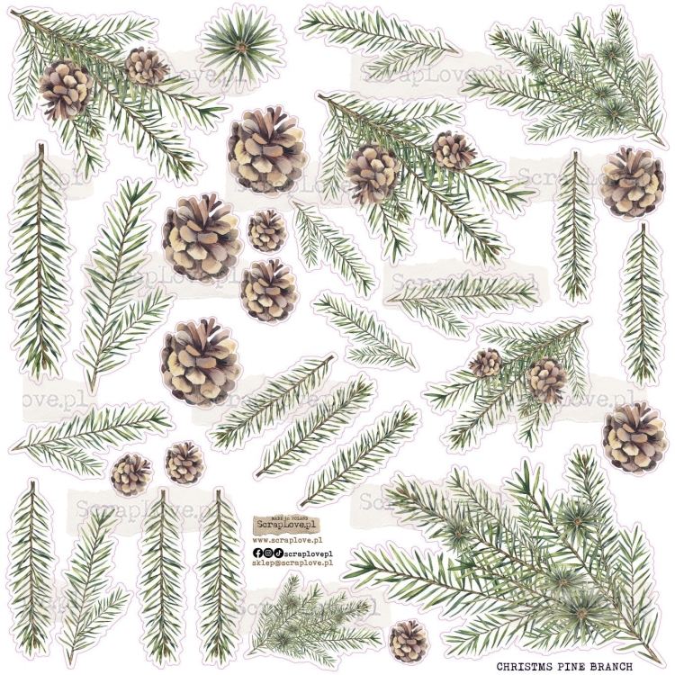 christmas pine branch-1.jpg