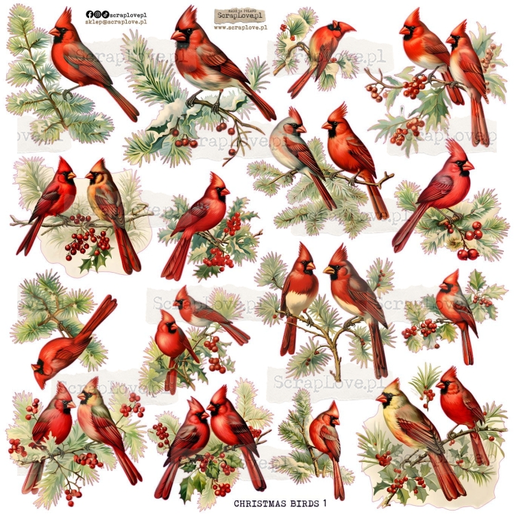 CHRISTMASS BIRDS 1-1.jpg