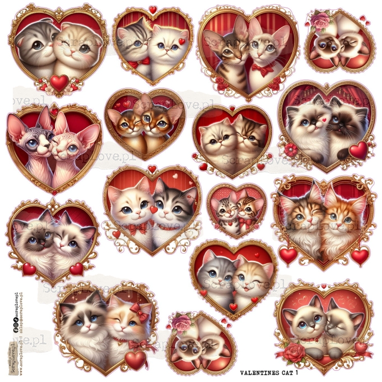 VALENTINES CAT 1-1.jpg