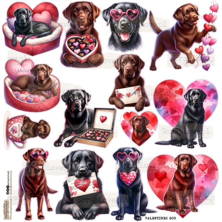 VALENTINES DOG-1.jpg