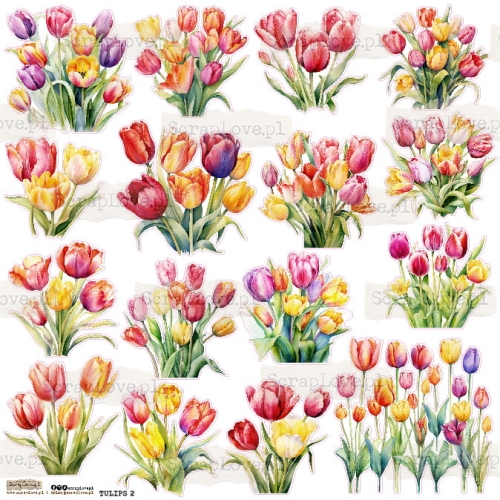 TULIPS 2.jpg
