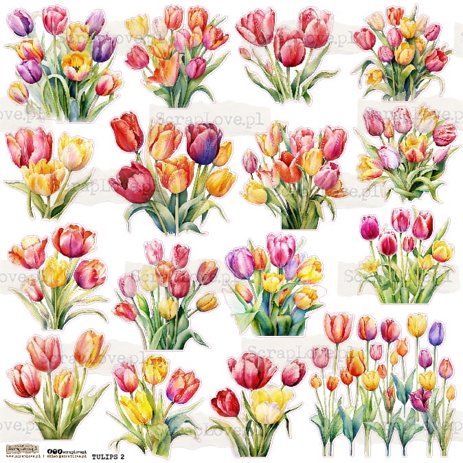 TULIPS 2.jpg
