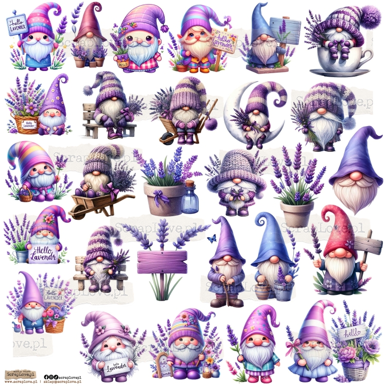 gnomes lavender 1p.jpeg