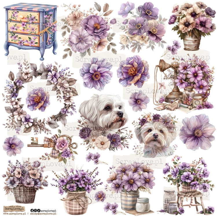 violet flowers 1p.jpeg