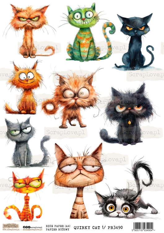 PR QUIRKY CAT 1-1.jpg