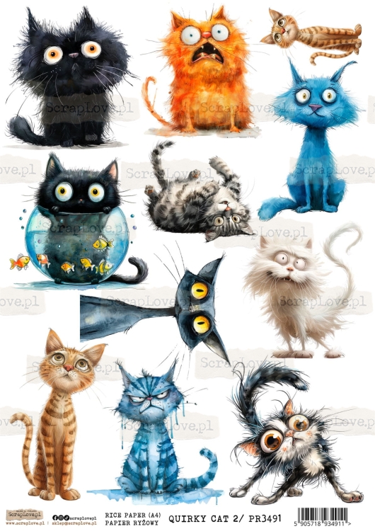 PR QUIRKY CAT 2-1.jpg