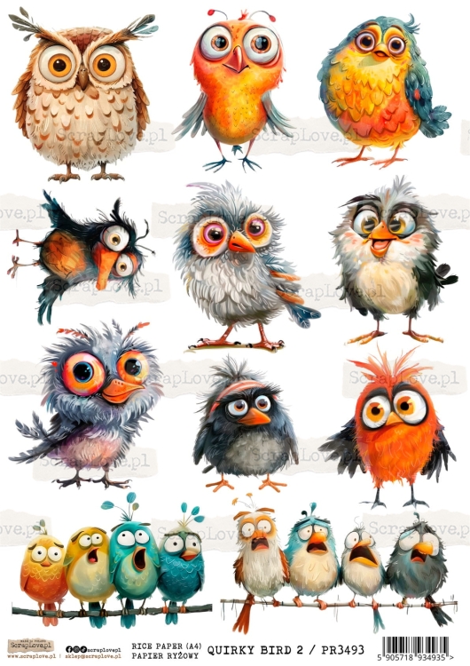 PR QUIRKY BIRD 2-1.jpg