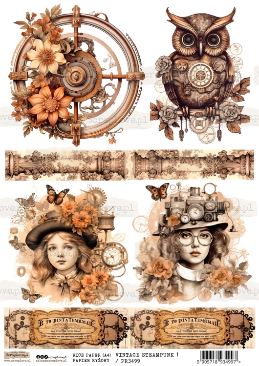 VINTAGE STEAMPUNK1-1.jpg