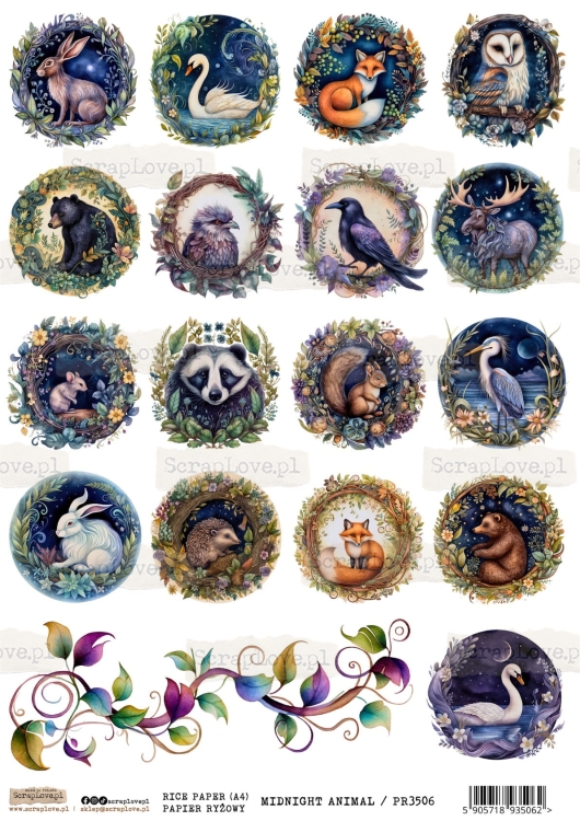 MIDNIGHT ANIMAL 1-1.jpg