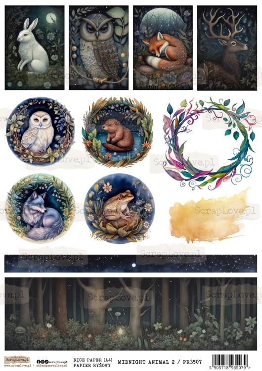 MIDNIGHT ANIMAL 2-1.jpg