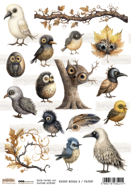 NIGhT BIRDS 2-1.jpg